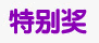 特别奖